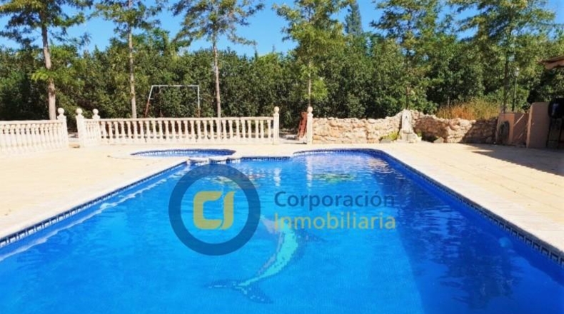 Sevilla - Lora del Río - 10000m2