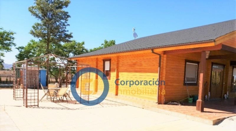 Sevilla - Lora del Río - 10000m2