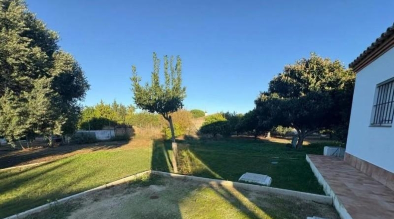 Cadiz - Chiclana de la Frontera - 1316m2
