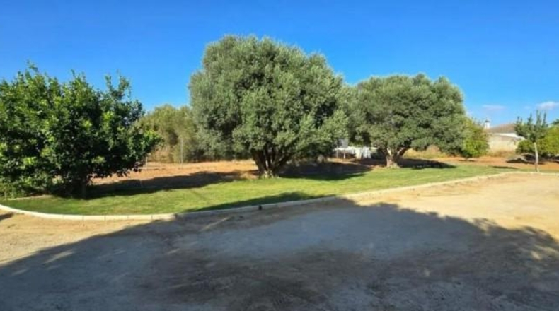Cadiz - Chiclana de la Frontera - 1316m2