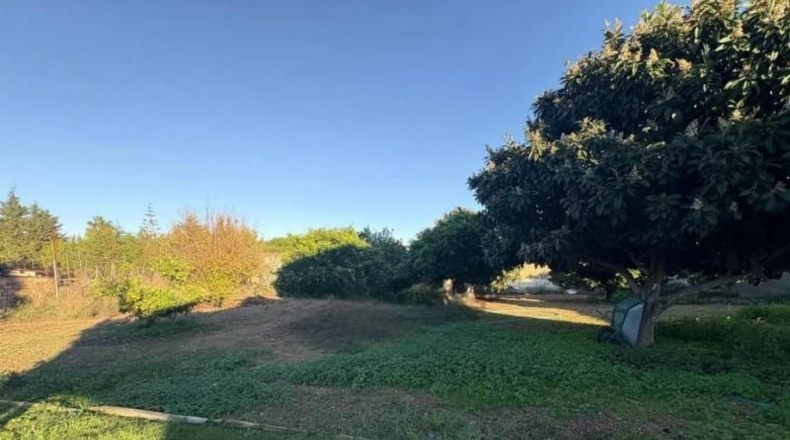 Cadiz - Chiclana de la Frontera - 1316m2