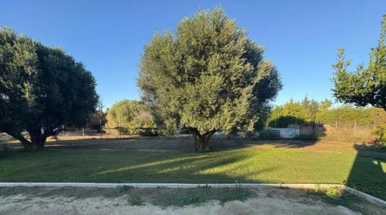 Cadiz - Chiclana de la Frontera - 1316m2