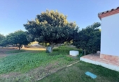 Xalet independent amb terreny en venda a la España, Chiclana de la Frontera, ref.: TR365161 foto