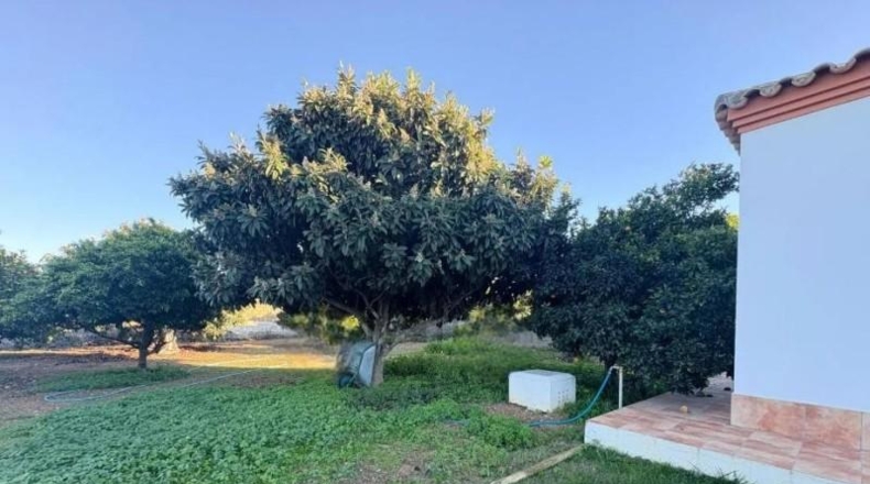 Cadiz - Chiclana de la Frontera - 1316m2