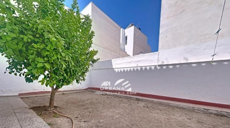 Córdoba - Lucena - 379m2