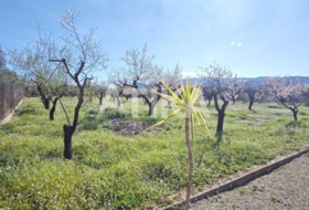 Ontinyent 3657&nbsp;м²