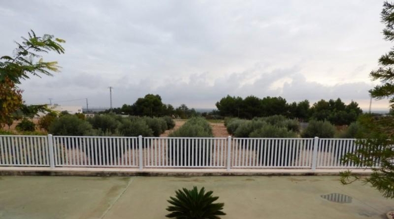 Alicante - Crevillente - 8000m2