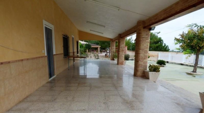 Alicante - Crevillente - 8000m2