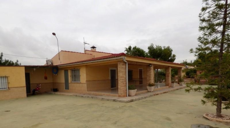 Alicante - Crevillente - 8000m2