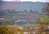 Non-developable land for sale on España, Urdúliz, ref: TR115404 photo