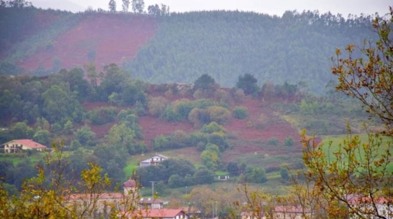 Biscaia - Urdúliz - 10000m2