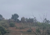 Non-developable land for sale on España, Urdúliz, ref: TR115404 photo