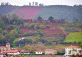 Non-developable land for sale on España, Urdúliz, ref: TR115404 photo