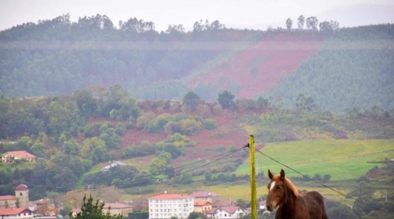 Biscaia - Urdúliz - 10000m2