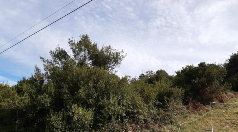 Biscaia - Urdúliz - 10000m2