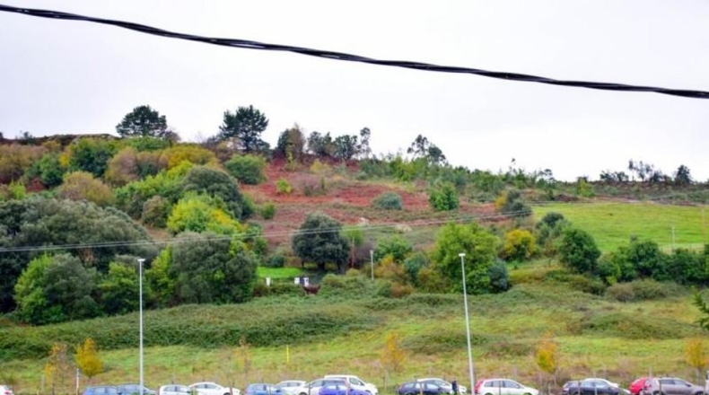 Biscaia - Urdúliz - 10000m2