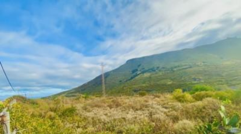 Santa Cruz de Tenerife - Tegueste - 1423m2