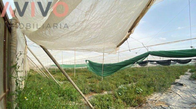 Múrcia - Águilas - 15000m2