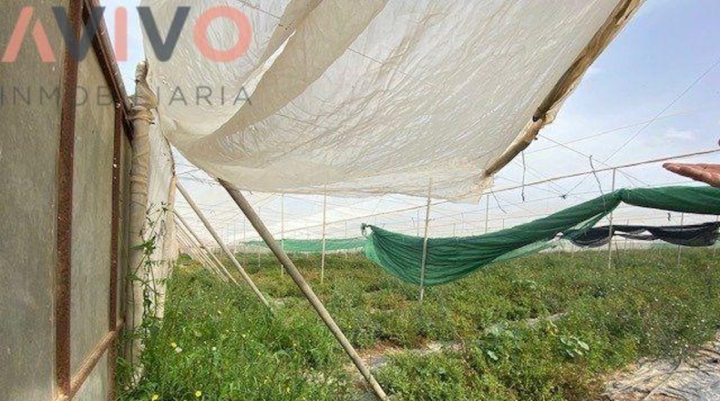 Múrcia - Águilas - 15000m2