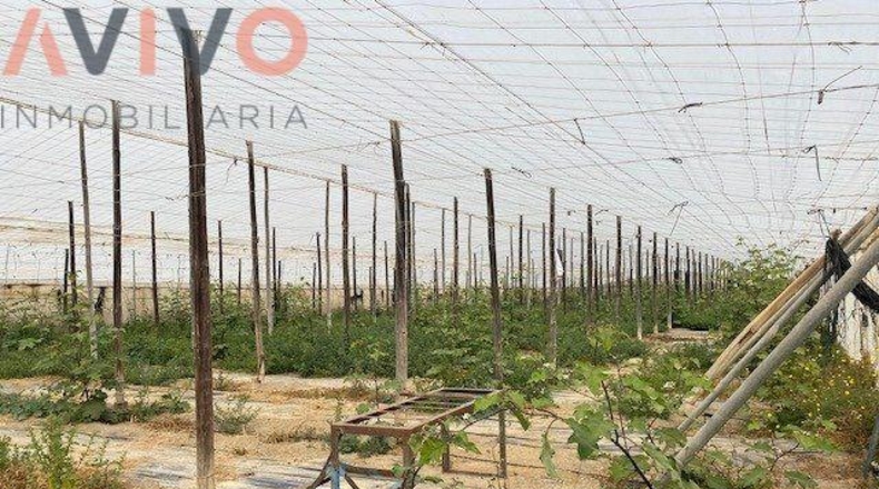 Múrcia - Águilas - 15000m2