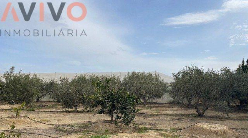 Múrcia - Águilas - 15000m2