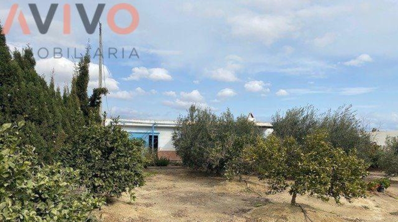 Múrcia - Águilas - 15000m2