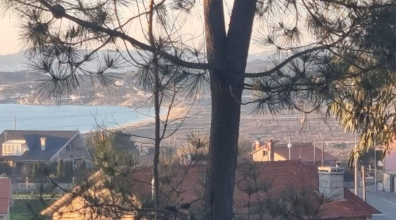 Pontevedra - Sanxenxo - 1550m2