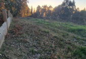 Land suitable for development for sale on España, Sanxenxo, ref: TR117374 photo