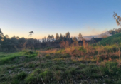 Land suitable for development for sale on España, Sanxenxo, ref: TR117374 photo