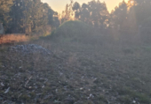 Land suitable for development for sale on España, Sanxenxo, ref: TR117374 photo