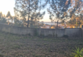 Land suitable for development for sale on España, Sanxenxo, ref: TR117374 photo