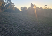 Land suitable for development for sale on España, Sanxenxo, ref: TR117374 photo