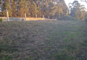 Land suitable for development for sale on España, Sanxenxo, ref: TR117374 photo