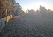 Land suitable for development for sale on España, Sanxenxo, ref: TR117374 photo