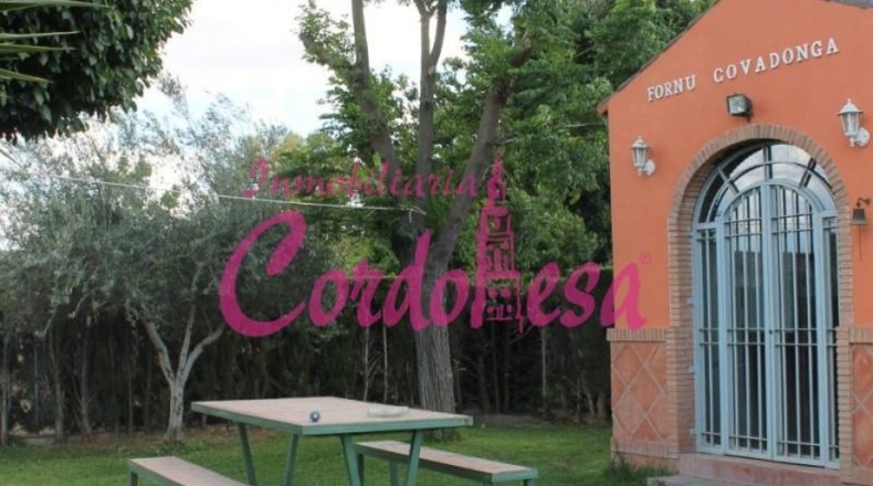 Córdoba - Córdoba - 1300m2