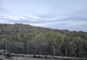 Xalet independent amb terreny en venda a la España, els Hostalets de Pierola, ref.: TR156812 foto