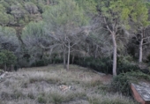Xalet independent amb terreny en venda a la España, els Hostalets de Pierola, ref.: TR156812 foto