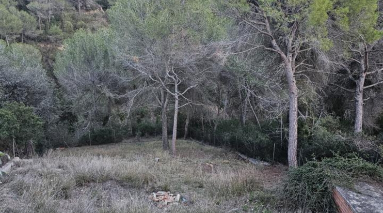 Barcelona - els Hostalets de Pierola - 1060m2