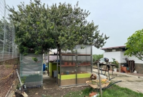 La Carlota 1500&nbsp;m² 