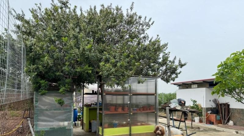 Кордова - La Carlota - 1500m2