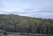 Xalet independent amb terreny en venda a la España, Pierola, ref.: TR359991 foto
