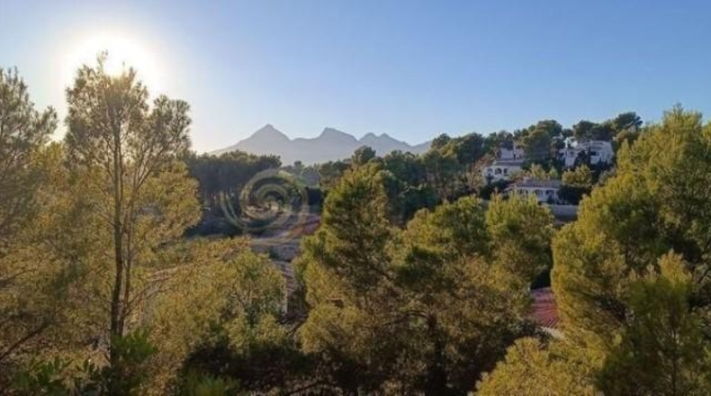 Alicante - Altea - 1063m2