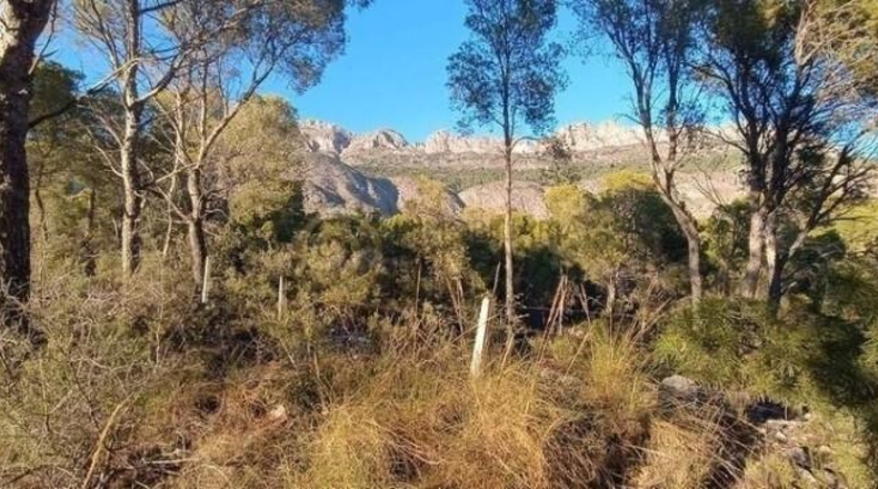 Alicante - Altea - 1063m2