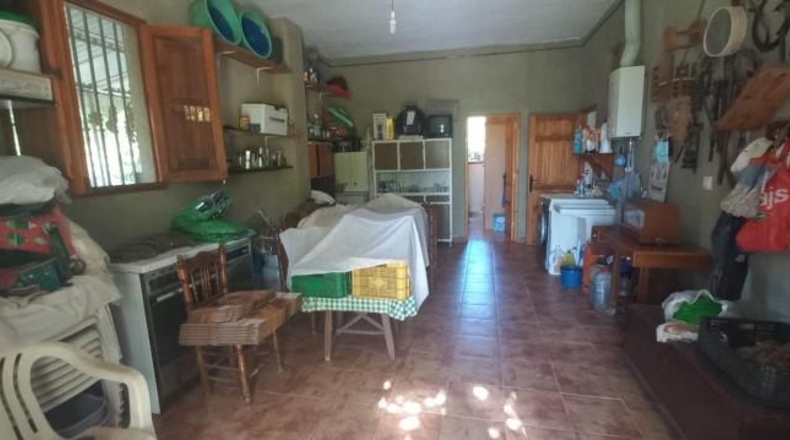 Granada - Cádiar - 2500m2