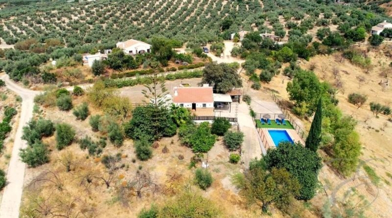 Malaga - Villanueva de la Concepción - 24500m2