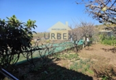 Parcel·la urbanitzable en venda a la España, Adeje, ref.: TR127272 foto