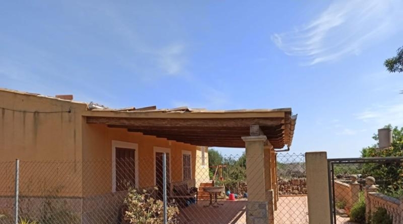 Balearic Islands - Sineu - 29517m2