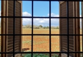 Terreny amb magatzem en venda a la España, Sineu, ref.: TR288348 foto