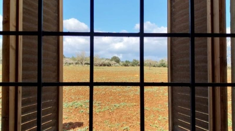 Balearic Islands - Sineu - 29517m2