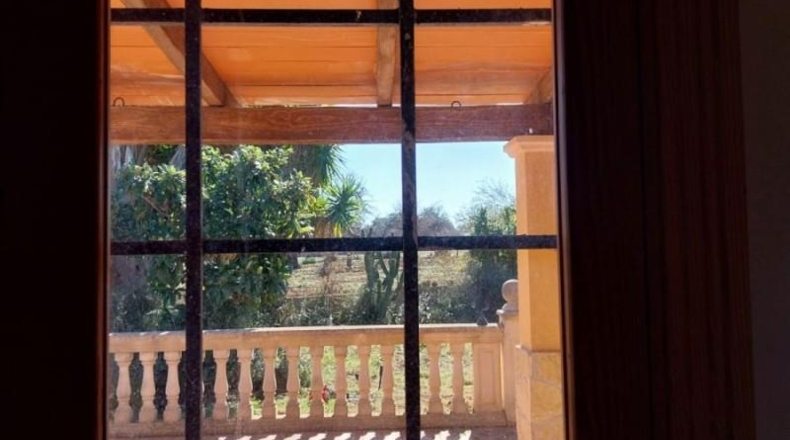 Balearic Islands - Sineu - 29517m2